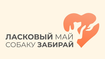 Зоозащитная акции "Ласковый май - собаку забирай" Зоозащитная акции "Ласковый май - собаку забирай".