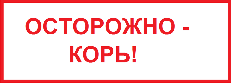 Памятки по профилактики кори, краснухи Памятки по профилактики кори, краснухи.